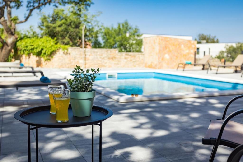 Cesare Apartment, With Swimming Pool And Sea View Ližnjan Dış mekan fotoğraf